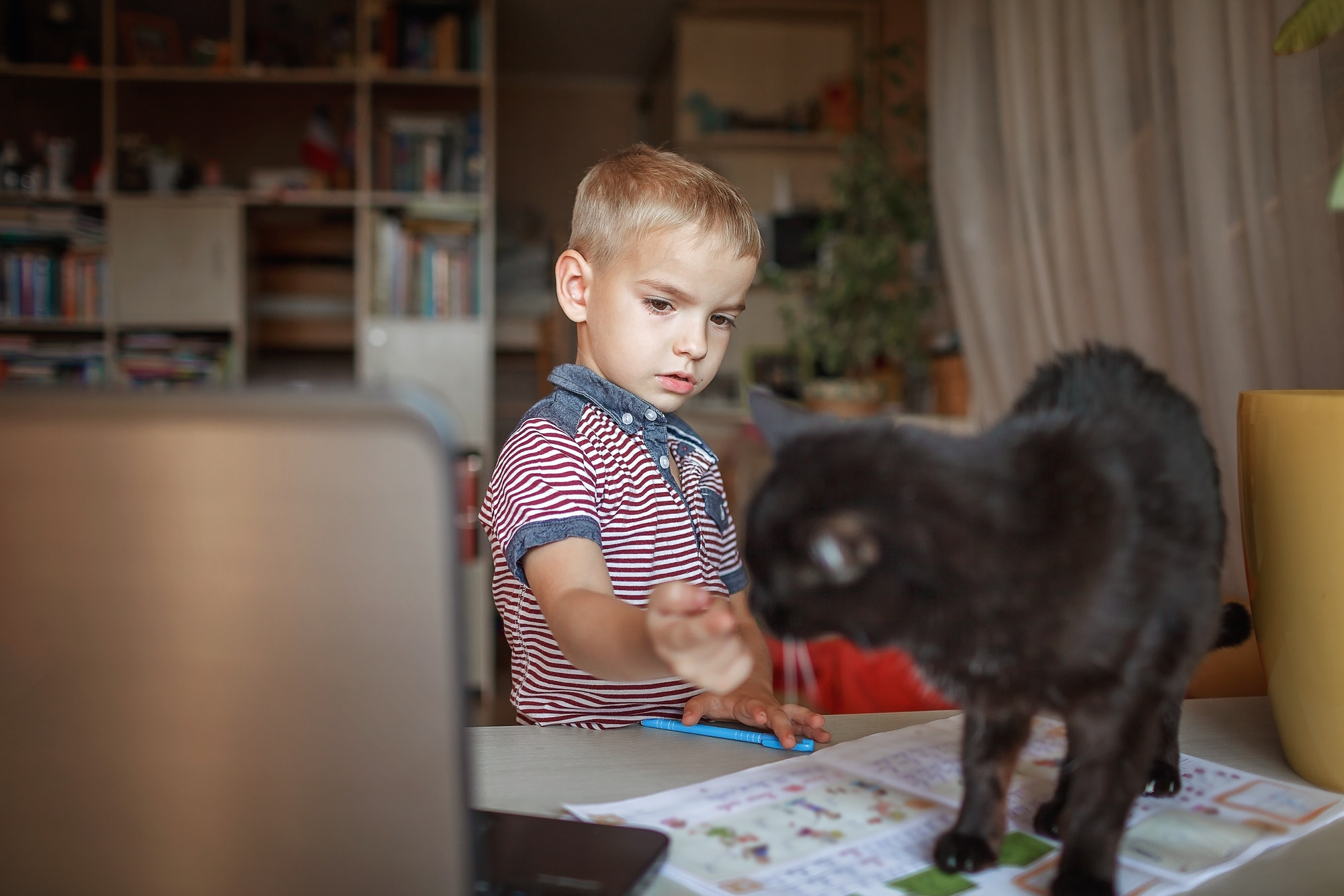 Distant education, true online education. Schoolchild studying with cat during lesson at home